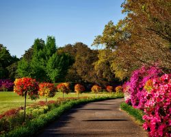 A scenic outdoor garden with vibrant floral displays, perfect for backgrounds or wallpapers.